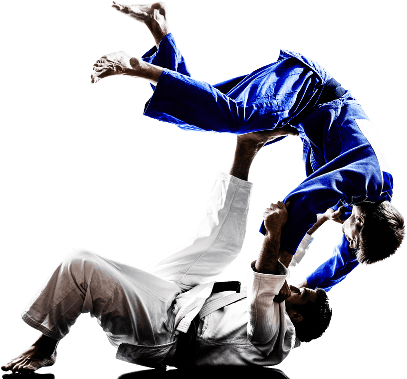 Para Judo